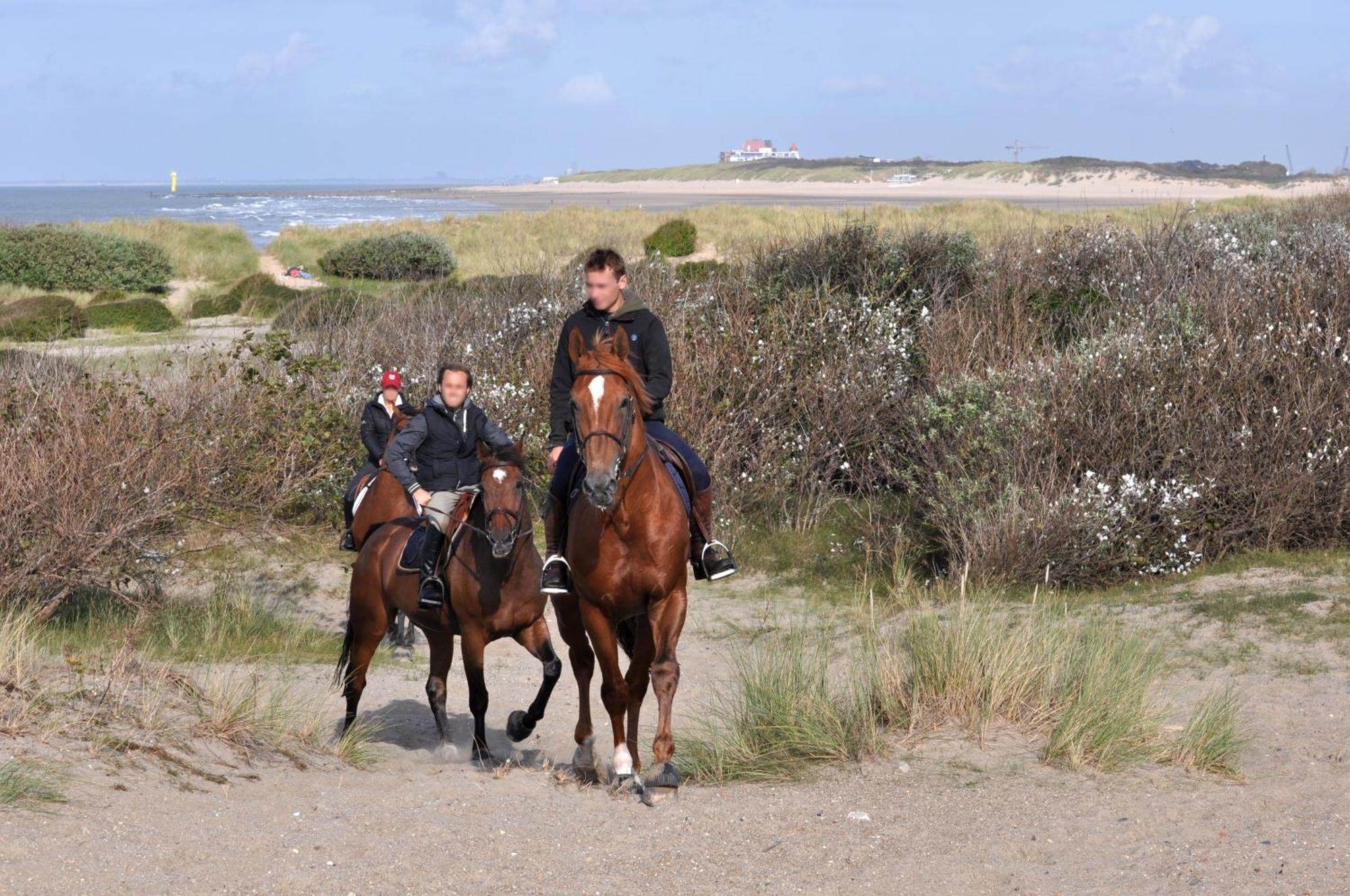 B&B Aquavit Knokke-Heist Εξωτερικό φωτογραφία